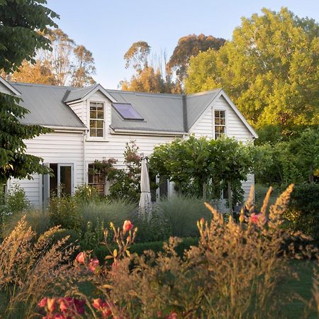 Ranginui Retreat Villa Masterton Dış mekan fotoğraf