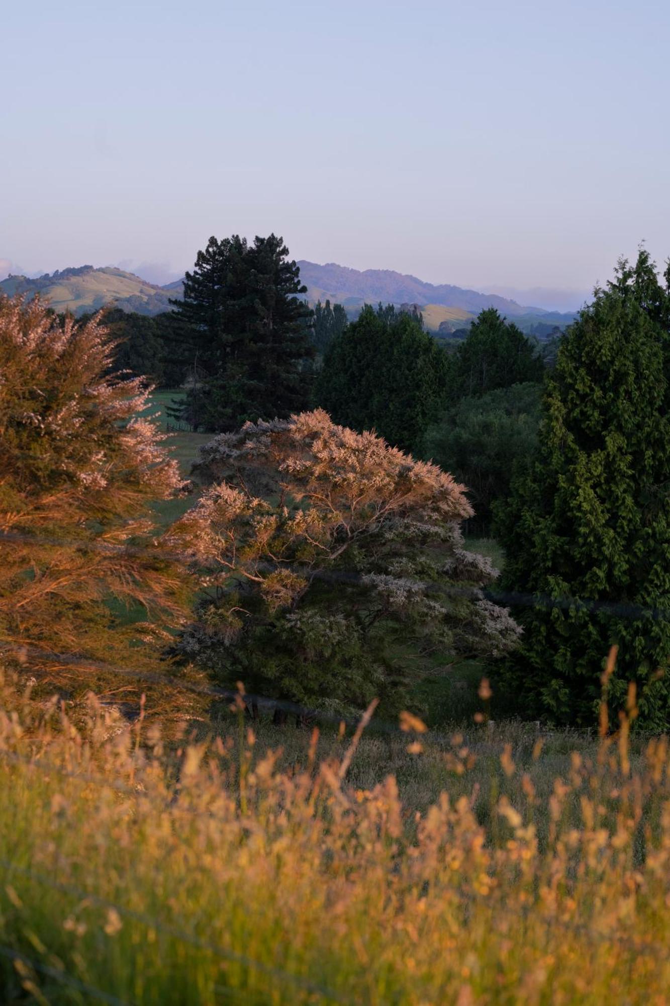 Ranginui Retreat Villa Masterton Dış mekan fotoğraf